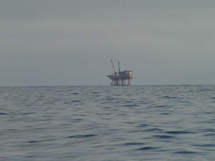 KG049767 kinsale gas b