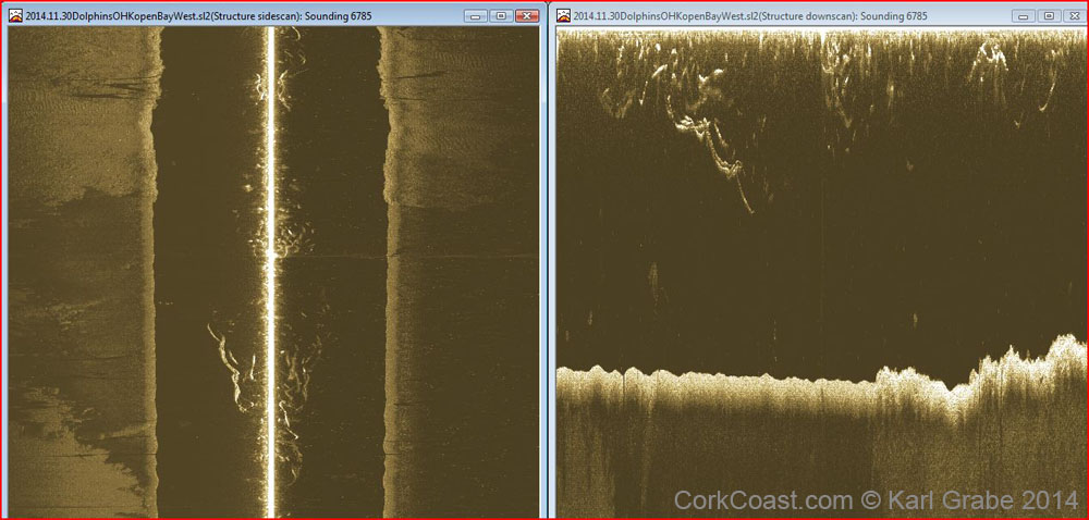da 2014.11.30 C dolphin old hd kinsale