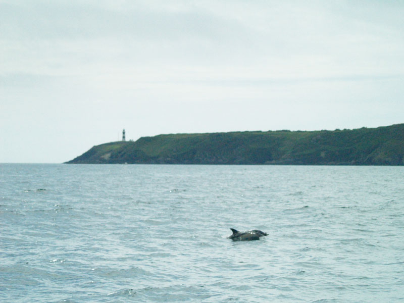 KG272711