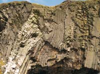 KG273082