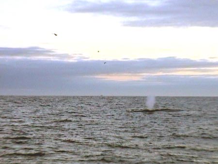 DSC01006