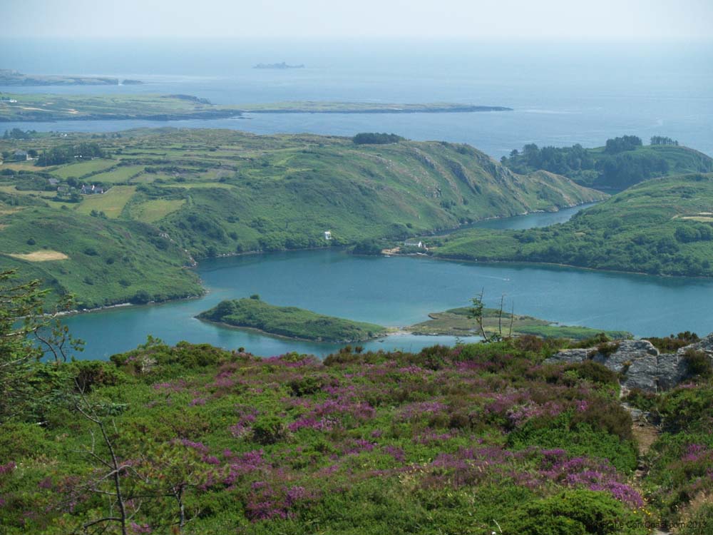 KG184416 Lough Hyne Stags in Background