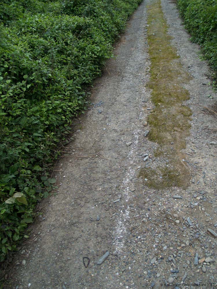 KG075457 old bridge road road marking still visible