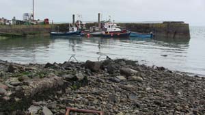 IMG_3830 2015 Cobh Cove Fort harbour