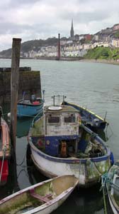 IMG_3841 2015 Cobh Cove Fort
