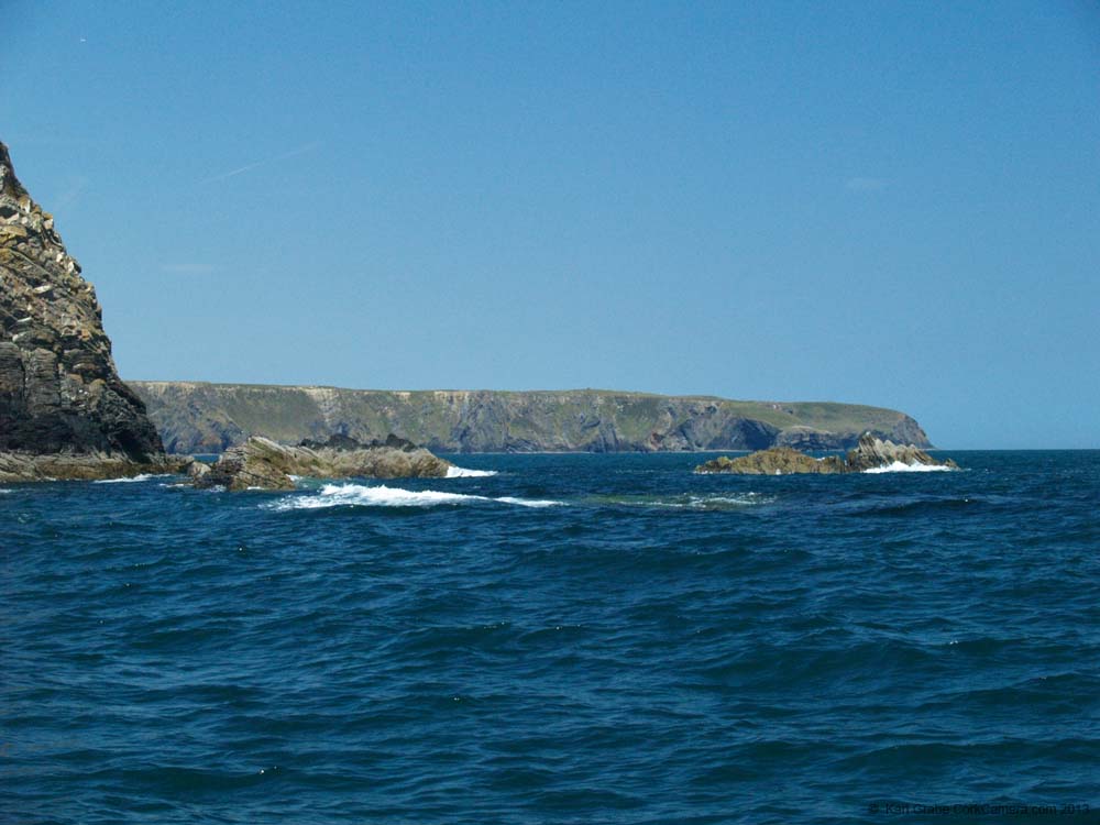 KG081664