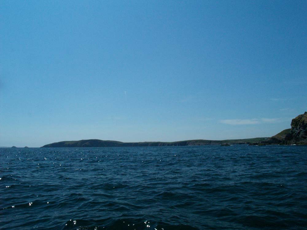 KG081667