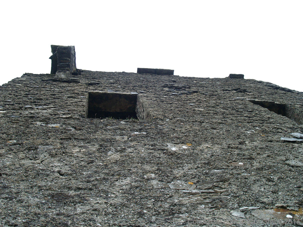 KG075431
