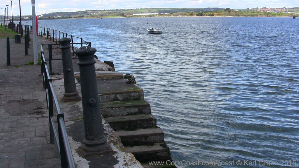 IMG_3678 2015 Passage West