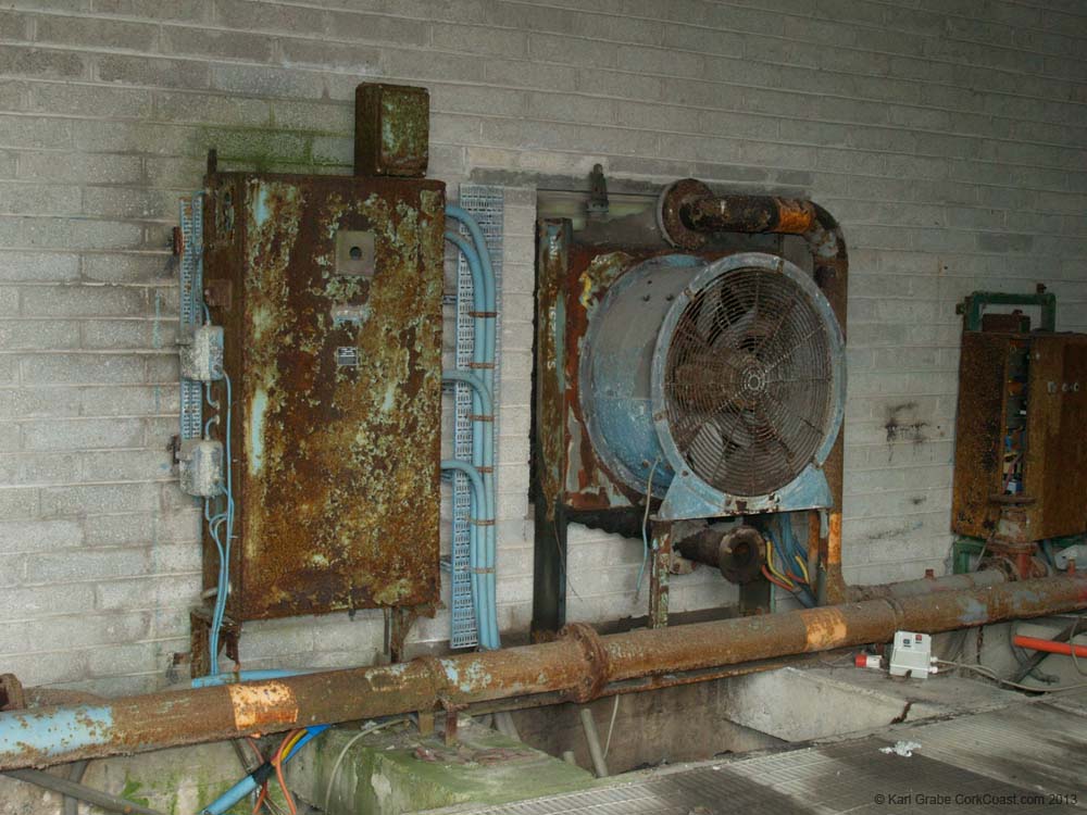 KG255007